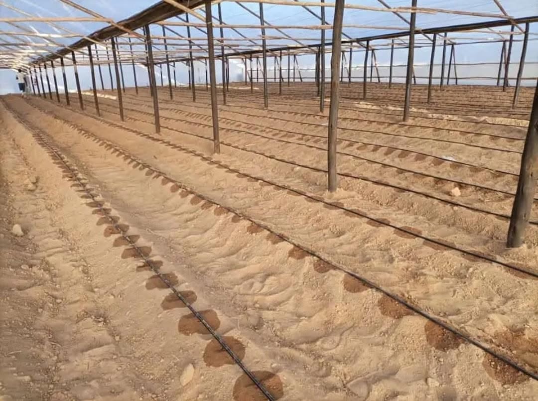 Drip Irrigation Installation