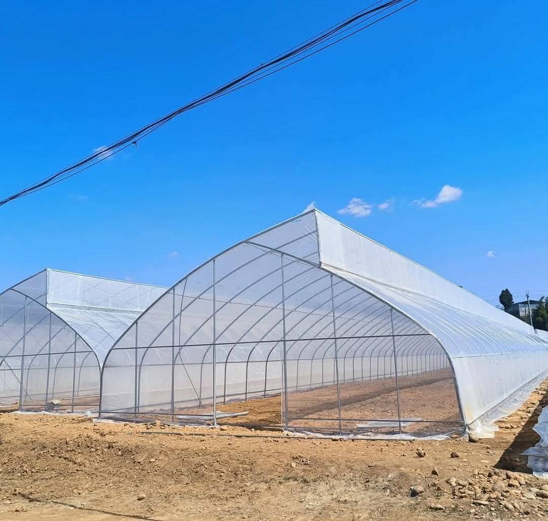 Greenhouse Plastic Supply