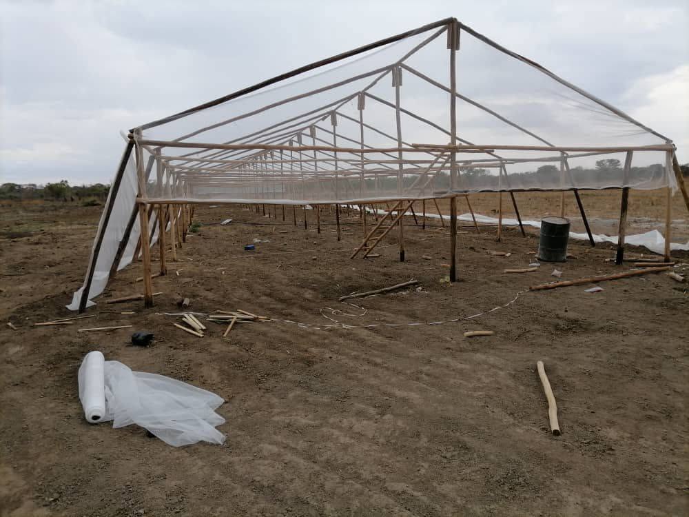 Greenhouse Construction